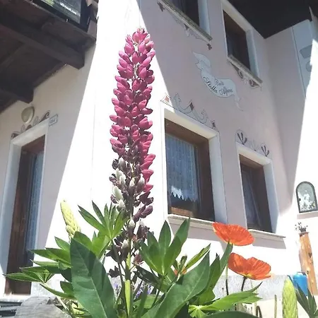 דירה Stella Alpina ליביניו