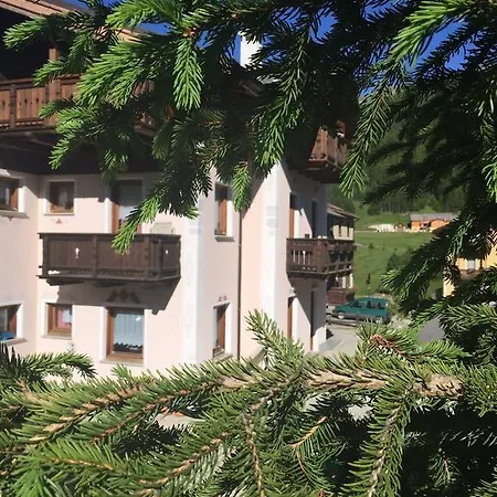 Stella Alpina