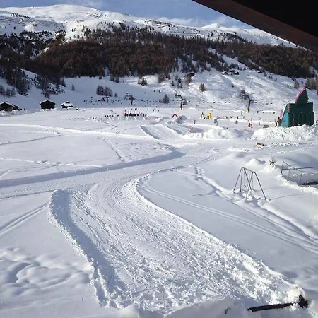 Stella Alpina