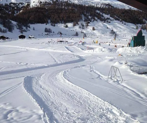 Stella Alpina